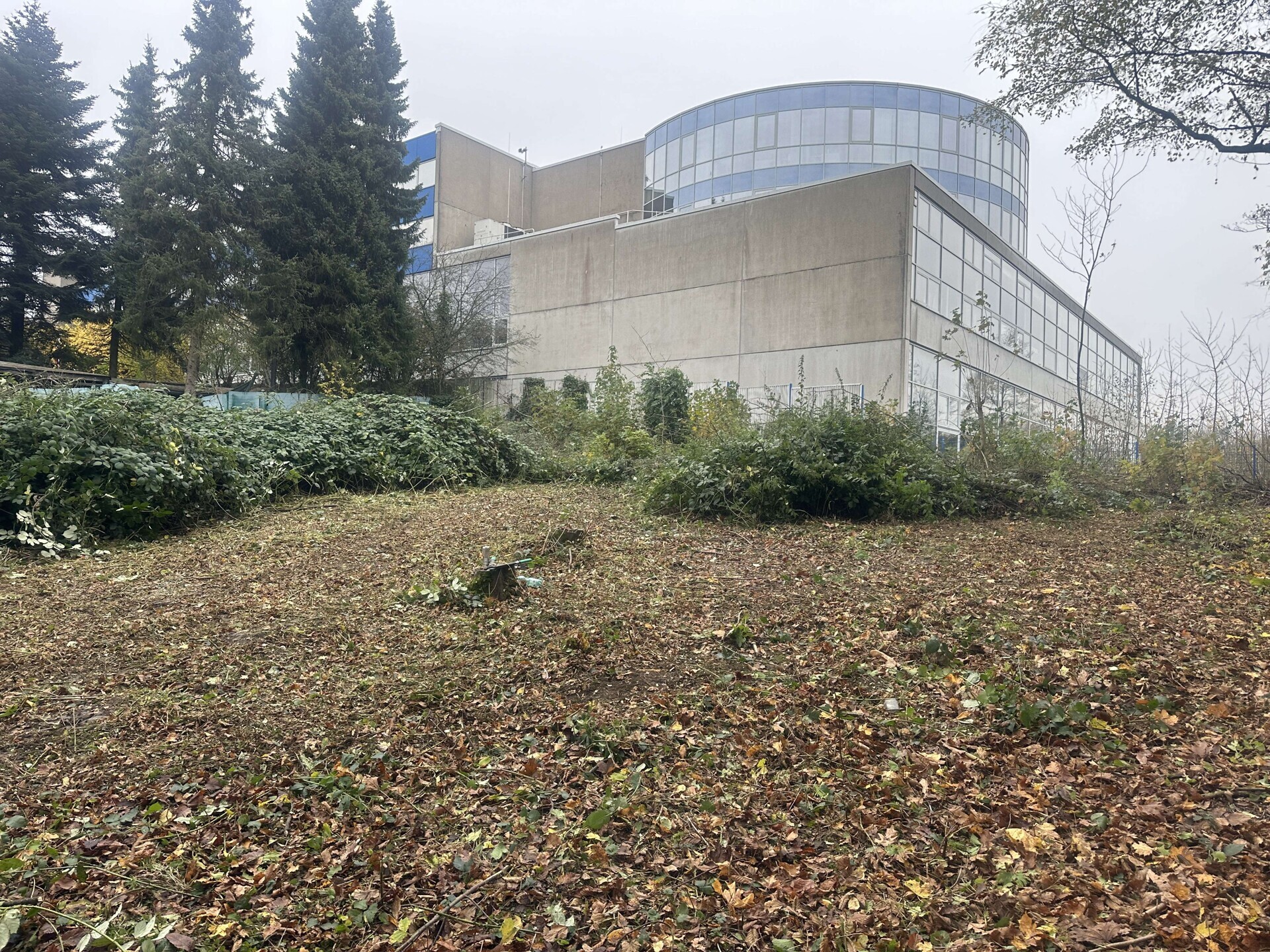 Gewerbegrundstück mit Hallenbau+Betreiberwohnung in Cronenberg+ Grundstück für Einfamilienhaus