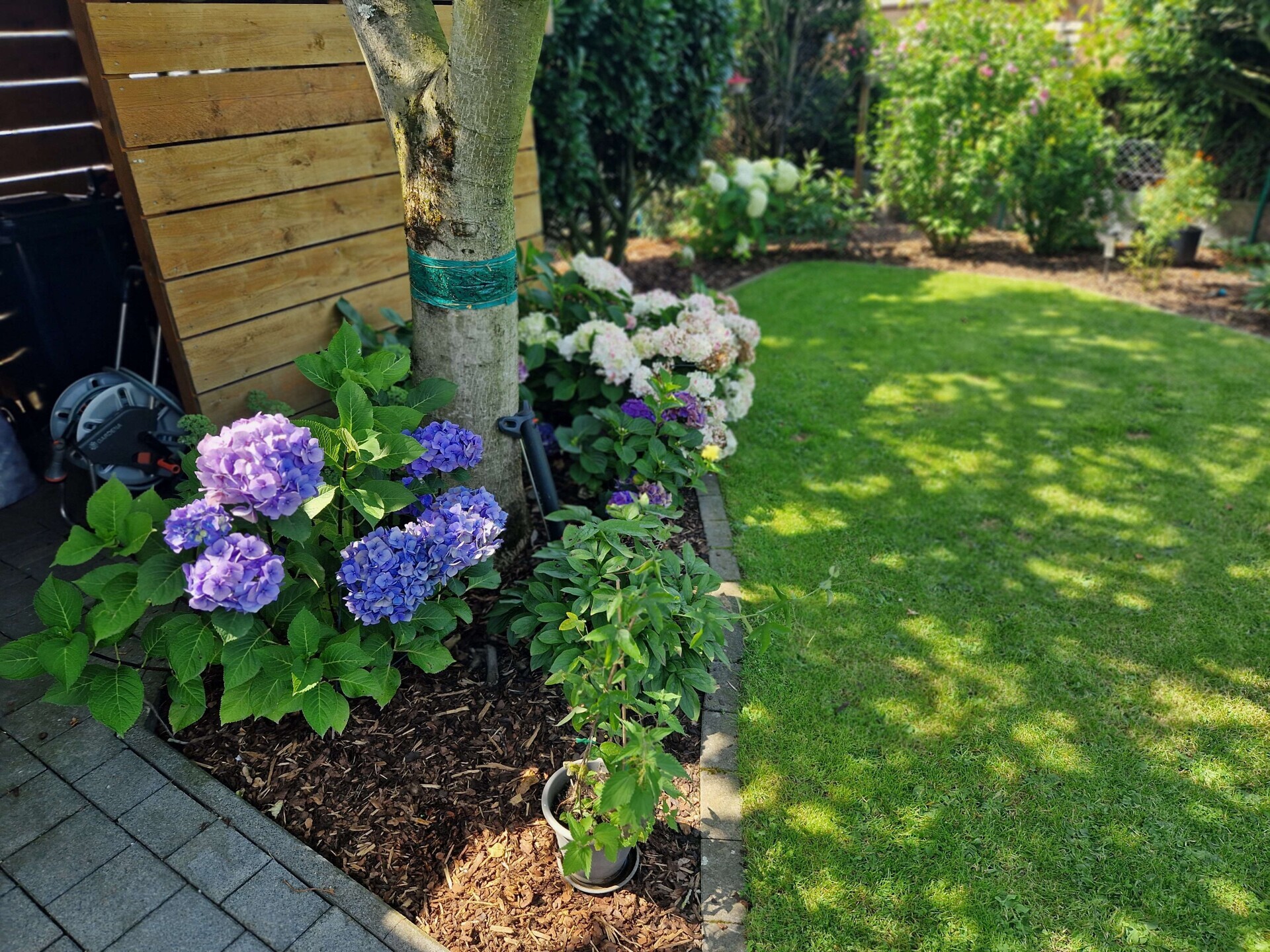 Garten