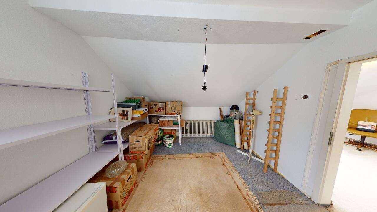 DG
