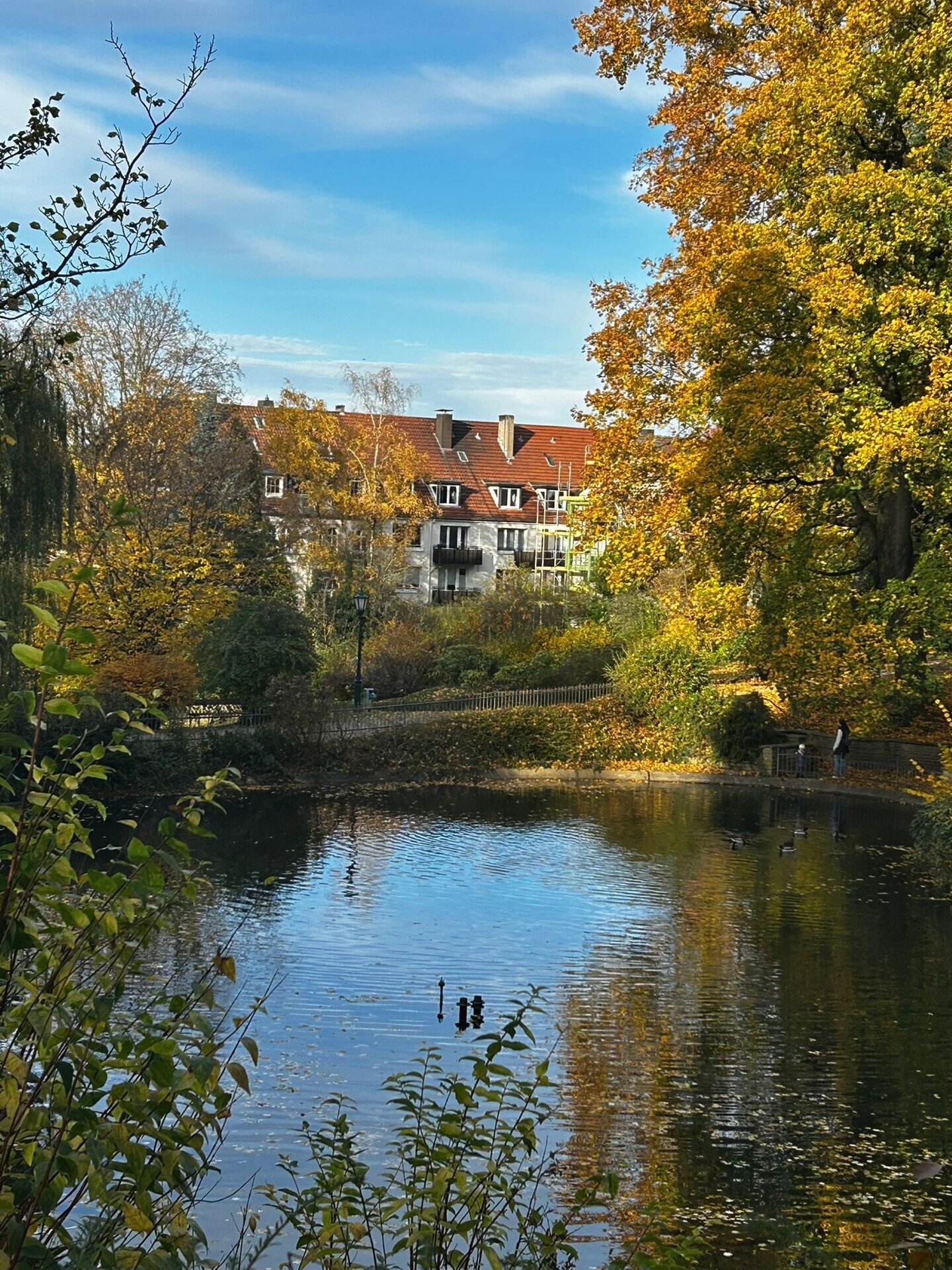 Blick aus den Barmer Anlagen auf das Haus
