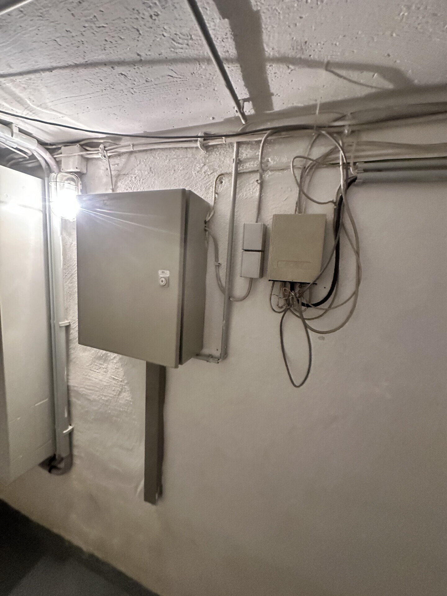 IMG_7959