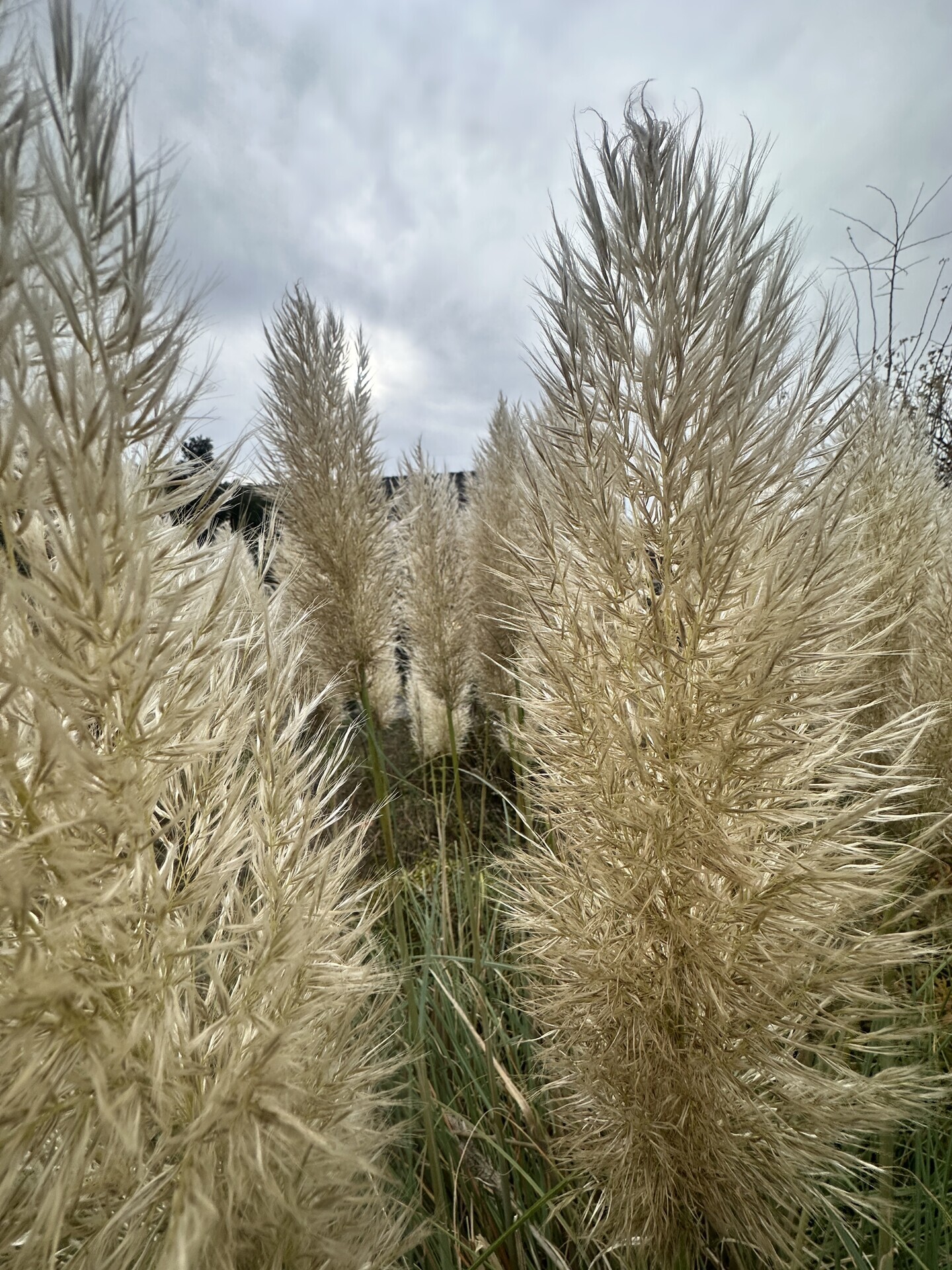 Gartenansicht 2