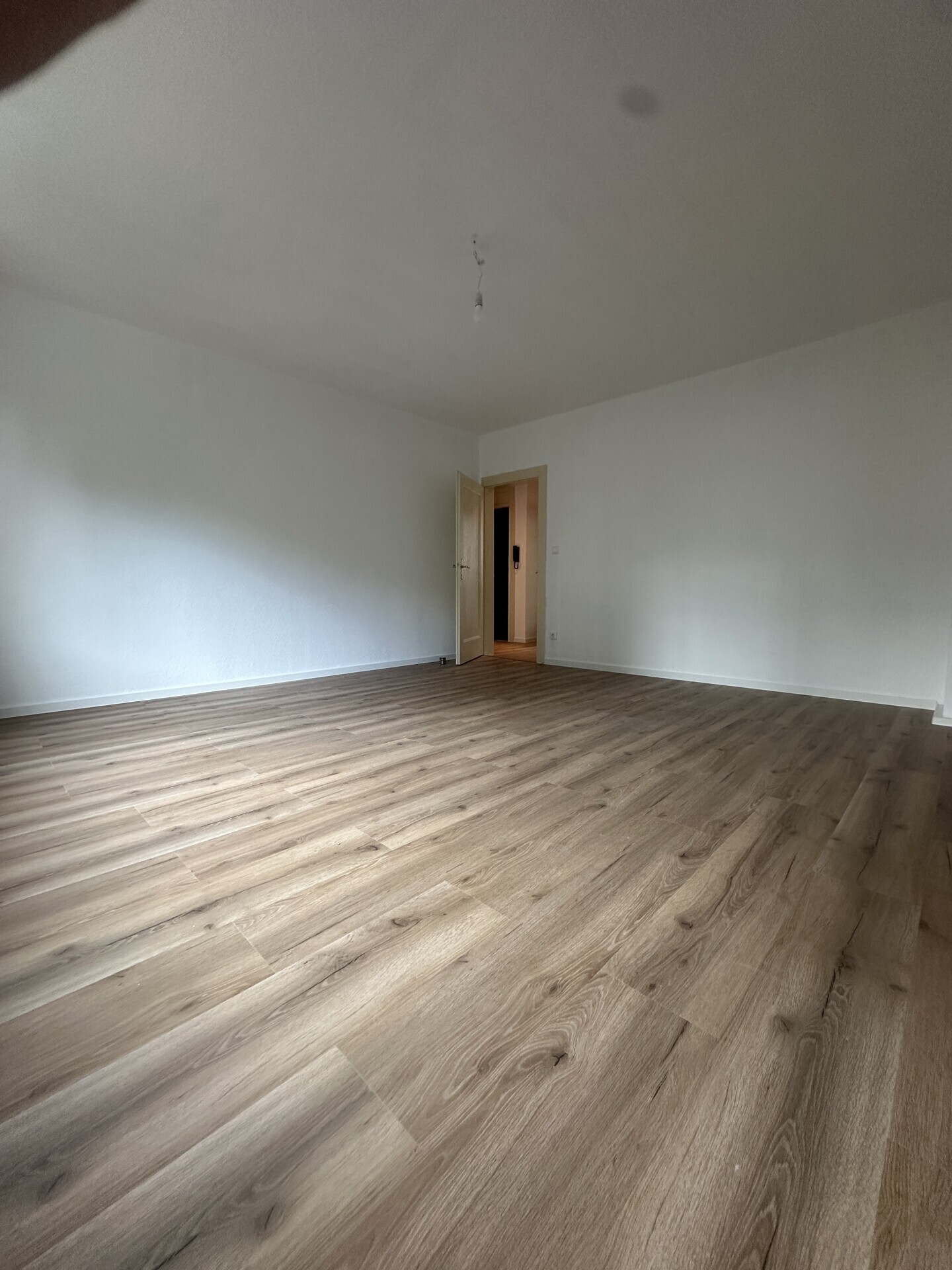IMG_3371